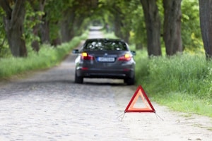 Notwendige Autobeleuchtung: Mit der Warnblinkanlage weisen Sie andere Fahrer auf eine Gefahrensituation hin.